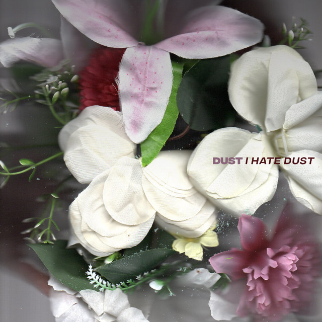 I Hate Dust cover art