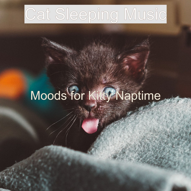 Moods for Kitty Naptime cover art