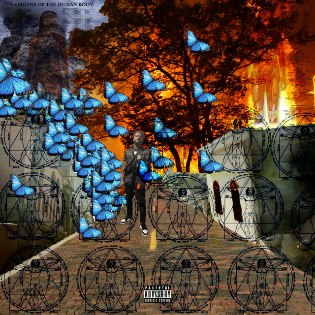 Rebirth cover art
