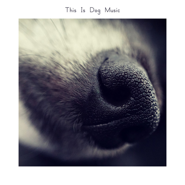 This Is Dog Music cover art