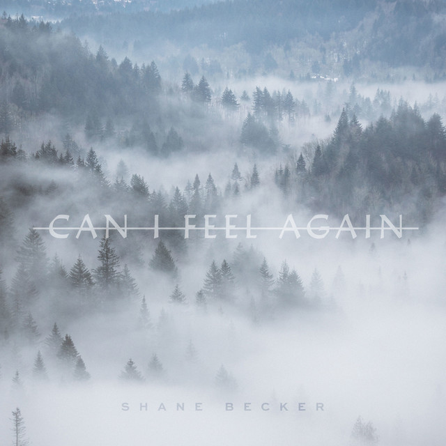 Can I Feel Again cover art
