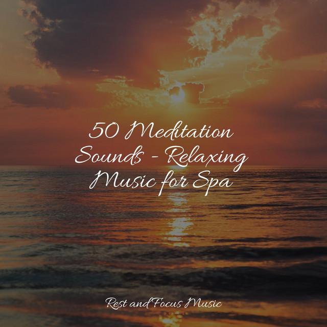 50 Meditation Sounds - Relaxing Music for Spa - Album by Wellness | Spotify