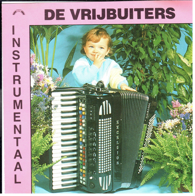 Instrumentaal (Accordeon) cover