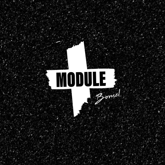 Module cover