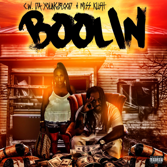 Boolin cover art