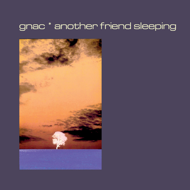 Another Friend Sleeping cover art