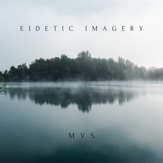 Eidetic Imagery by MVS