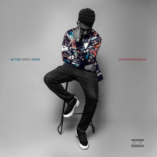 In The Grey Area cover art
