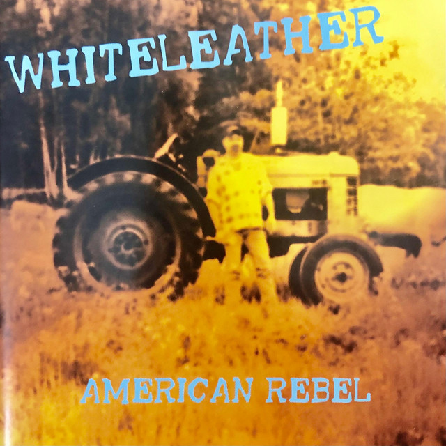 American Rebel cover