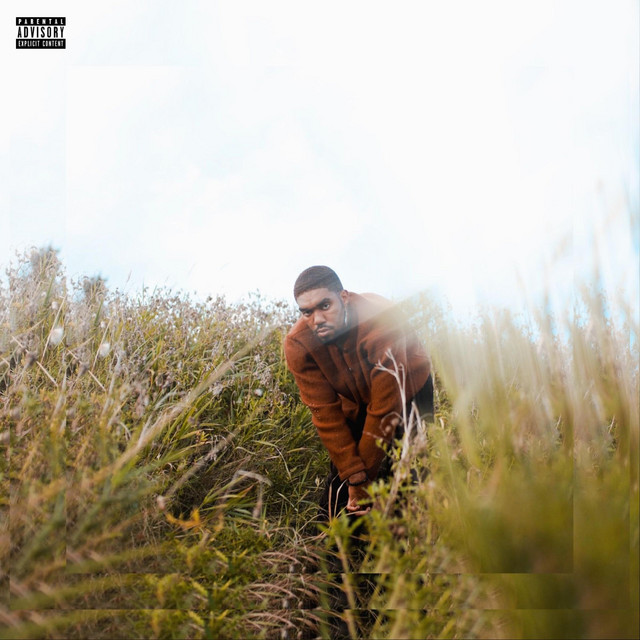 The Fix cover art