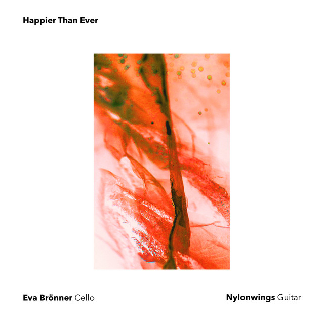 Happier Than Ever - Cello and Guitar Cover