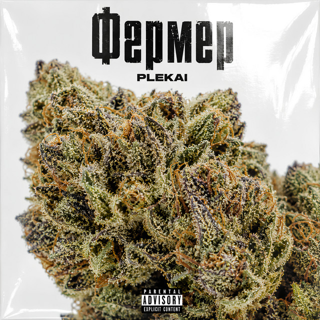 Обкладинка: Фермер — Plekai