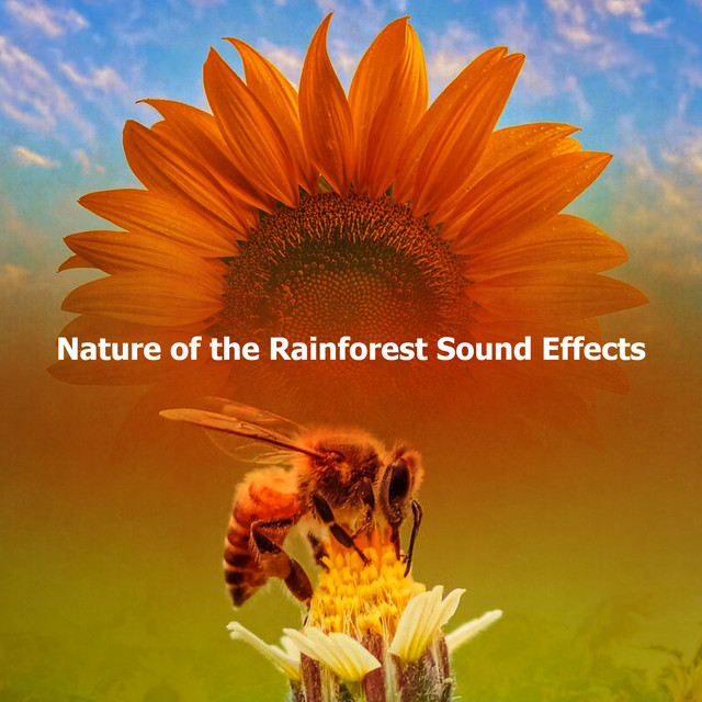 Sounds of Nature | Spotify