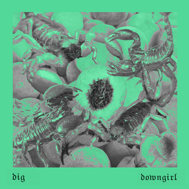 DIG cover