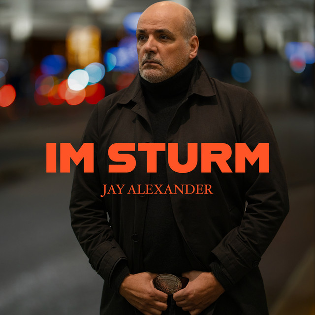 Im Sturm cover