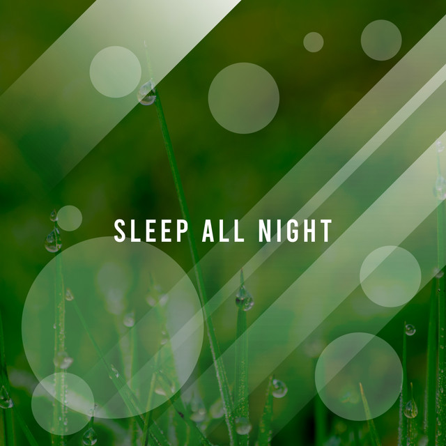 Ambient Rain Sounds to Help You Sleep All Night cover art