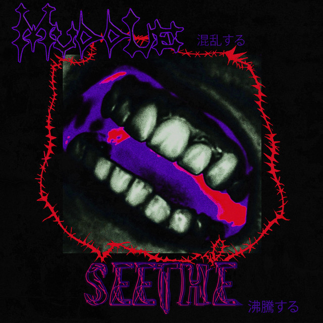 Seethe cover art