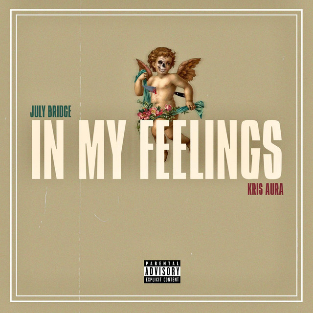 IN MY FEELINGS
