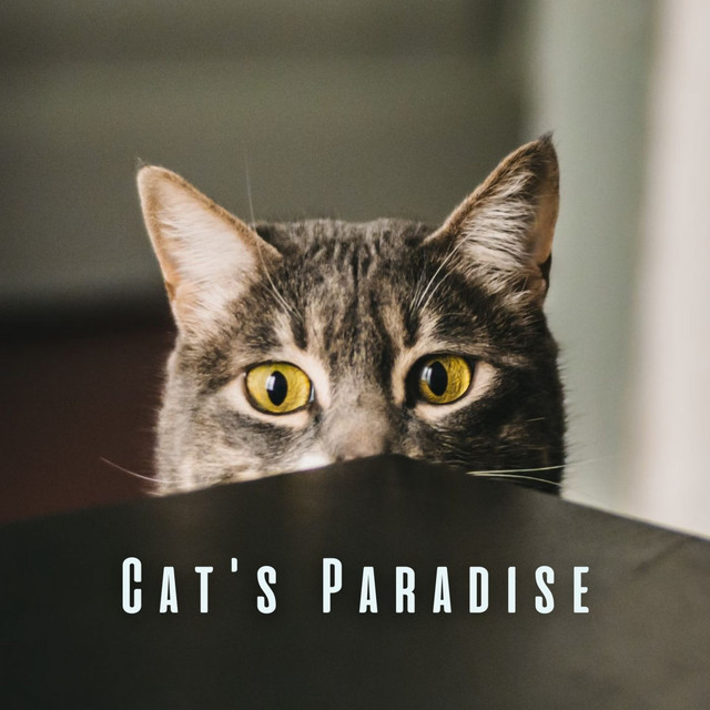 Cat's Paradise: Nature's Tranquil Tunes and Chill Sounds cover art