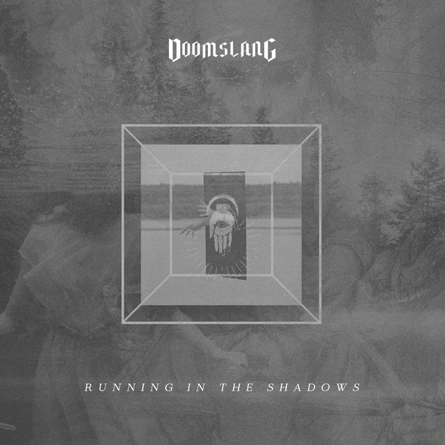 Running in the Shadows cover