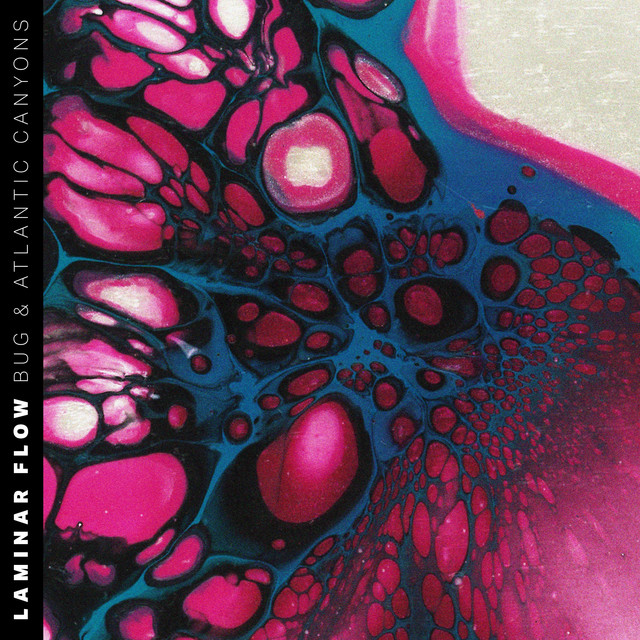 Laminar Flow cover art