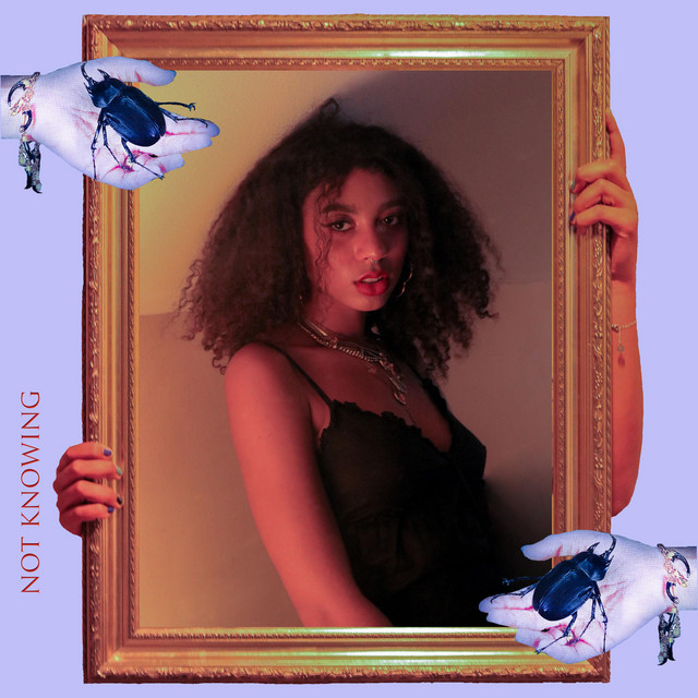 Not Knowing cover art