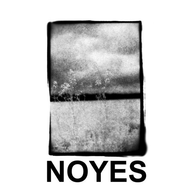 NOYES
