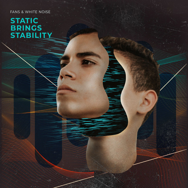 Static Brings Stability - Album by Fans & White Noise | Spotify