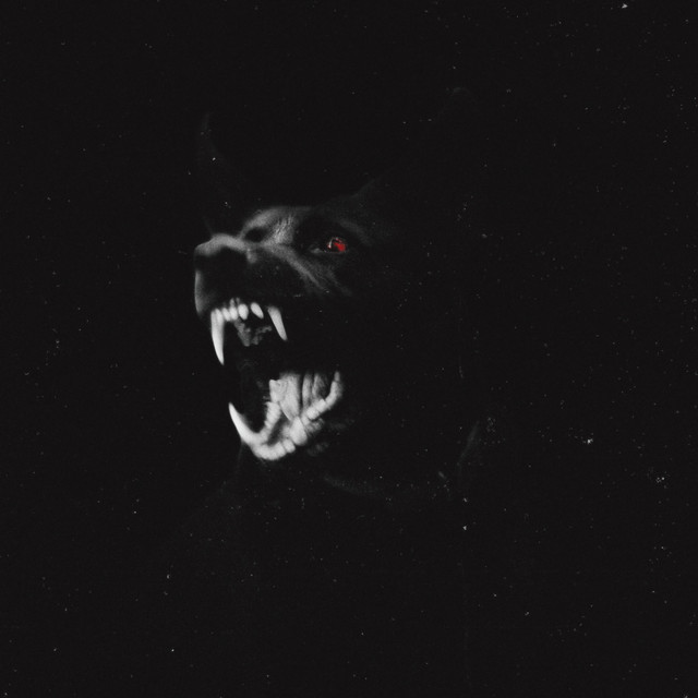 Drip cover art