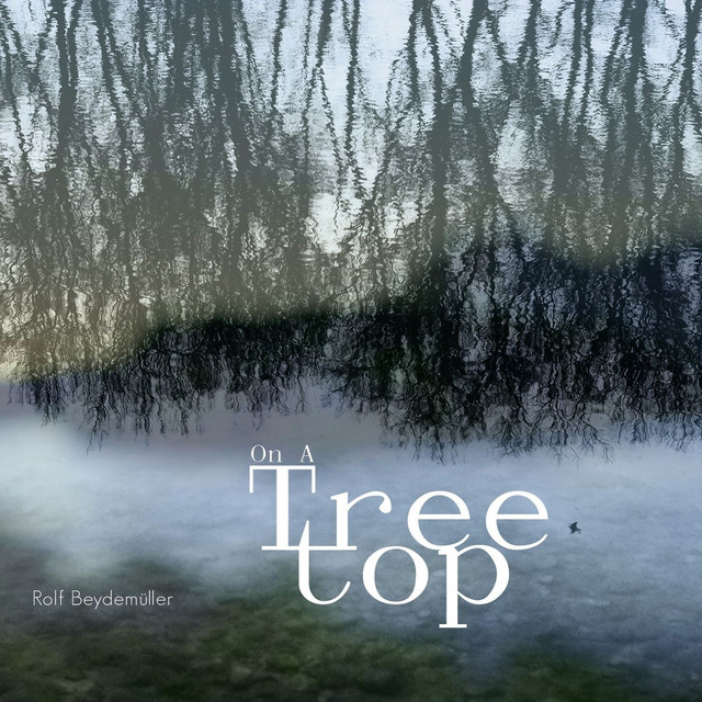 Rolf Beydemüller - On A Tree Top cover