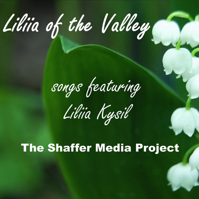 The Shaffer Media Project