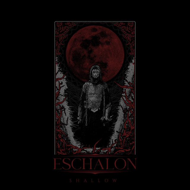 Shallow cover art