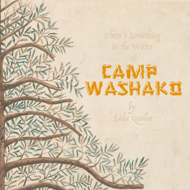 Camp Washako cover art