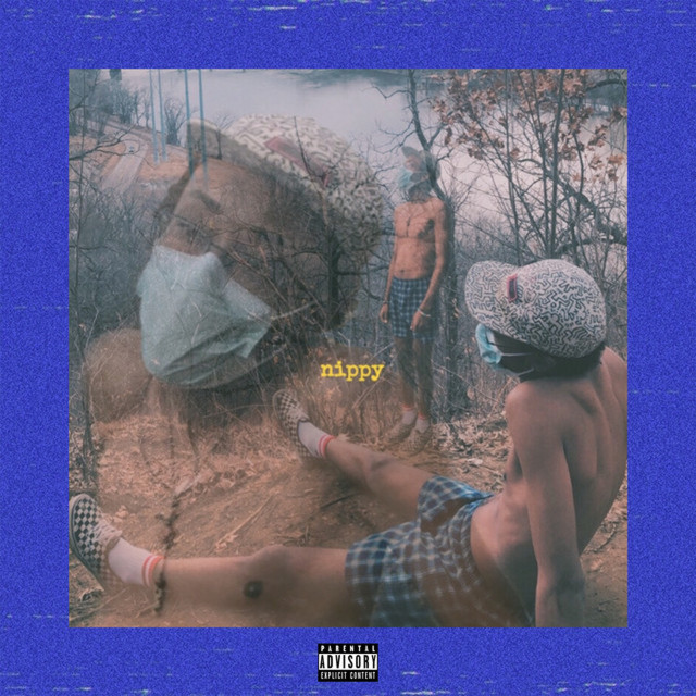 nippy cover art
