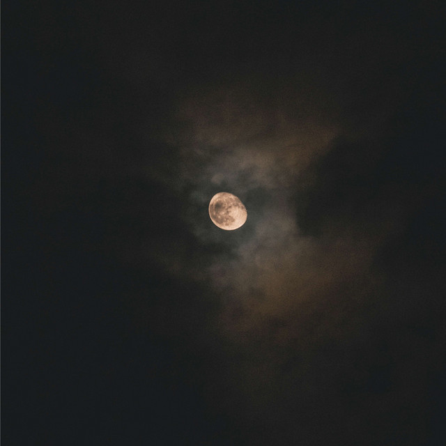 empty nights cover art