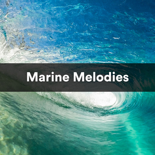 Marine melodies ocean waves for sleep album by ocean waves for
