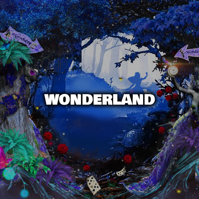 Wonderland - Single by RichSkies | Spotify