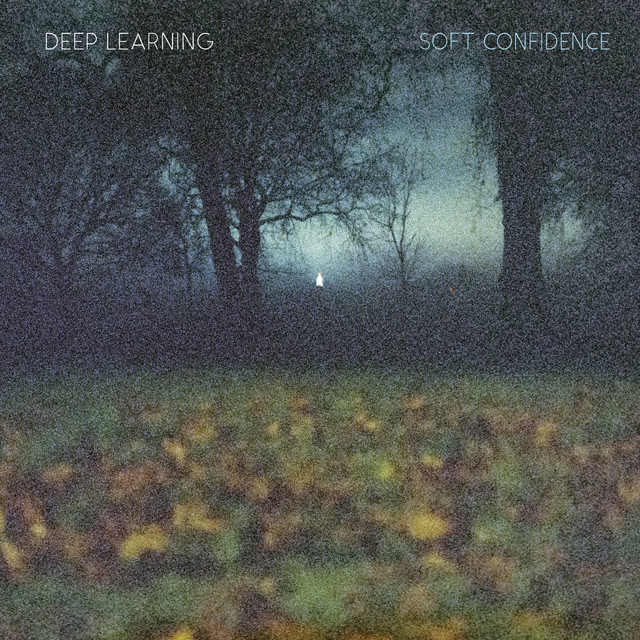 Soft Confidence cover art