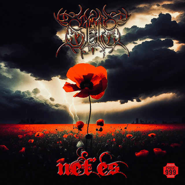 Gelinciklere Yaşam Borcum Var cover art