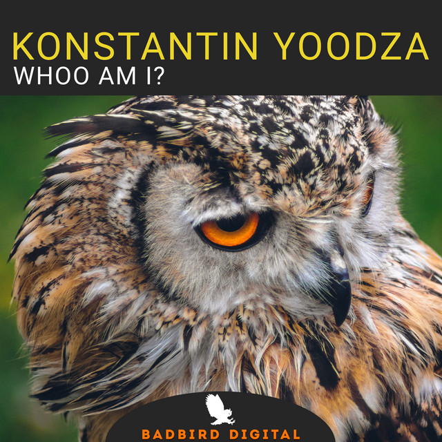 Обкладинка Konstantin Yoodza — Whoo Am I?