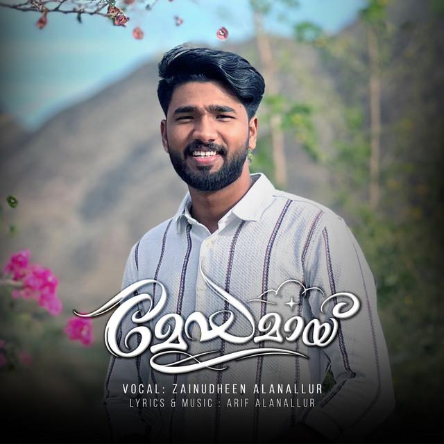 Meghamay Nilaavin Chillamele (From "Meghamay") album image