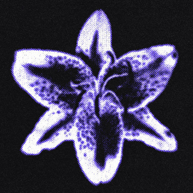 Carnalis (Dream Edit) cover art