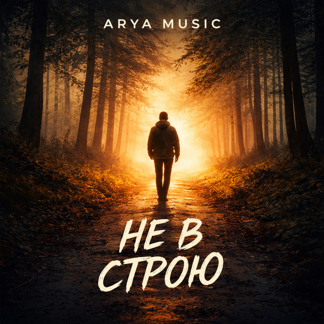 Обложка Не в строю — ARYA MUSIC