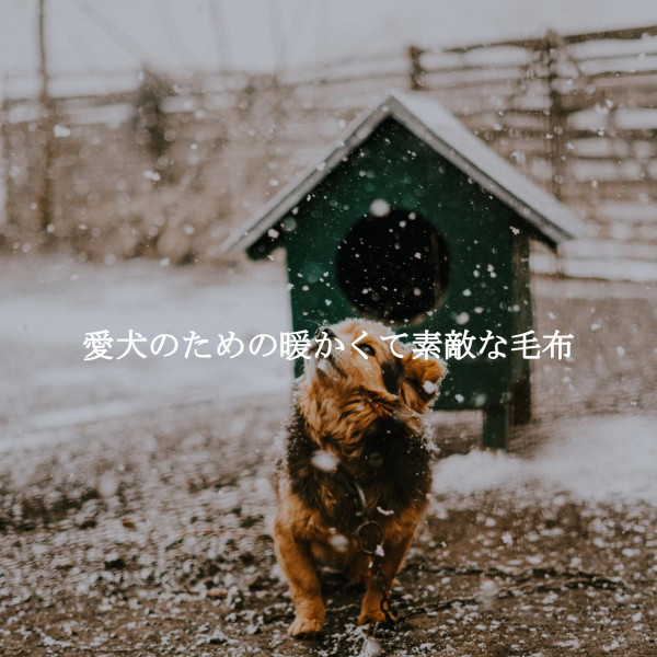 愛犬のための暖かくて素敵な毛布 cover art