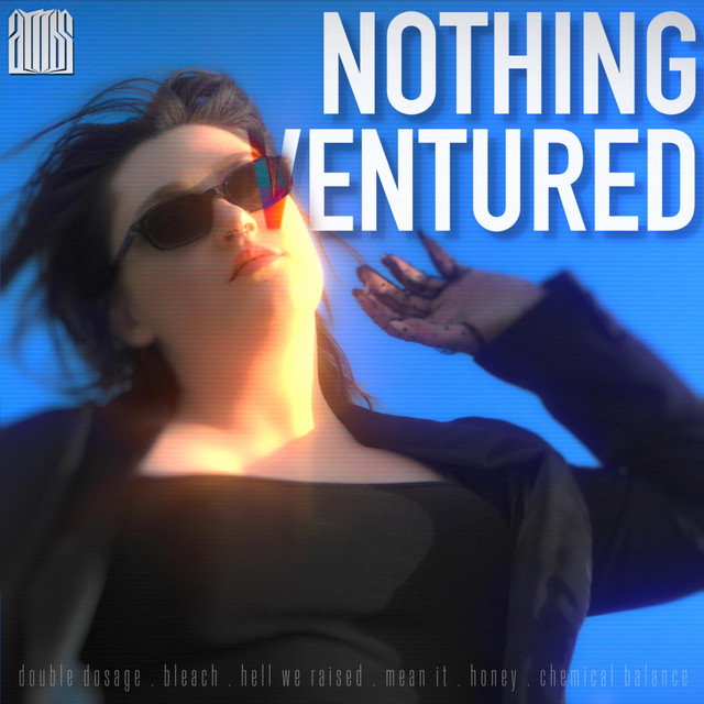 NOTHING VENTURED cover art
