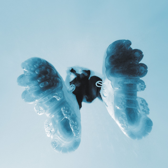 The Shadow Project cover art