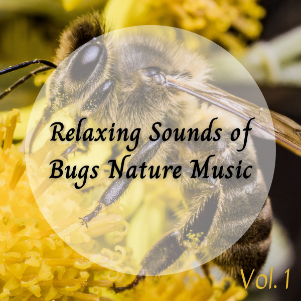 Relaxing Sounds of Bugs Nature Music Vol. 1 - Album by Sounds of Nature ...