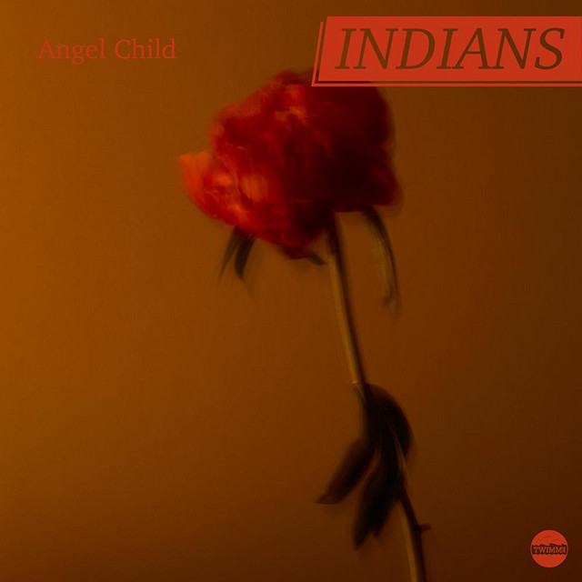 Angel Child cover