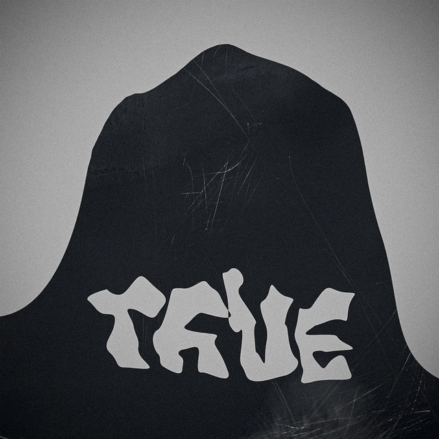 Cover art: True — theyluvvdania