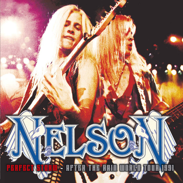 Perfect Storm - After the Rain World Tour 1991 - Album by Nelson 